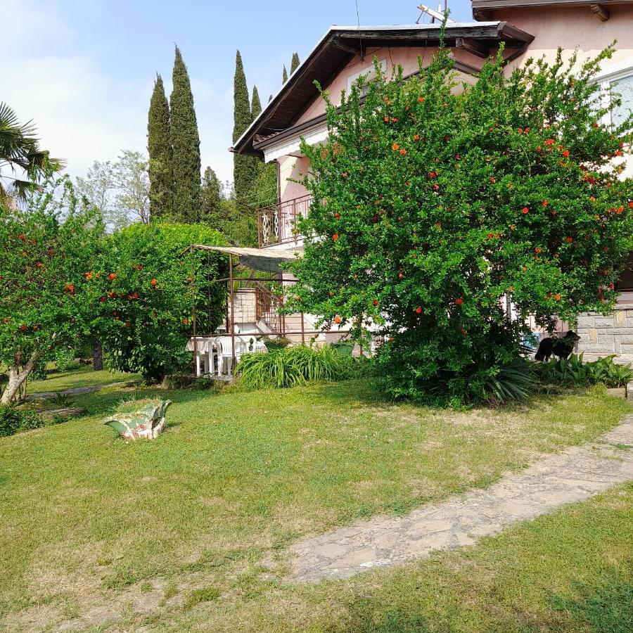 Apartma Mari Appartement Lucija Buitenkant foto